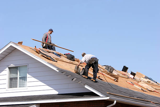 Best Roof Moss and Algae Removal  in Canton, MO